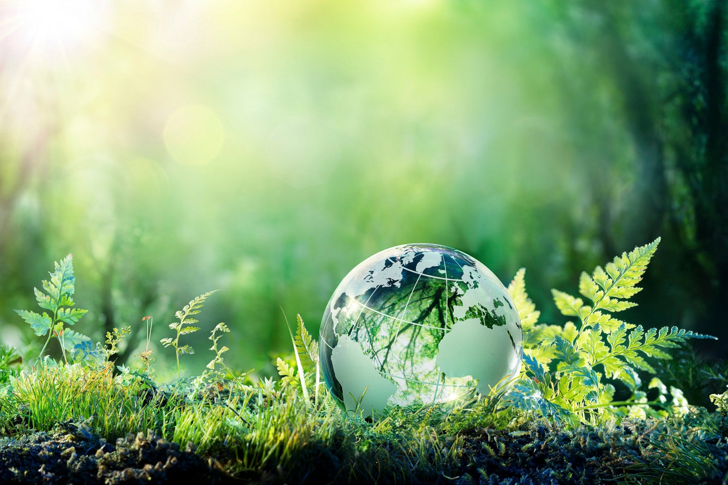 The economic consequences of inaction may end up outweighing the costs of saving the planet now.